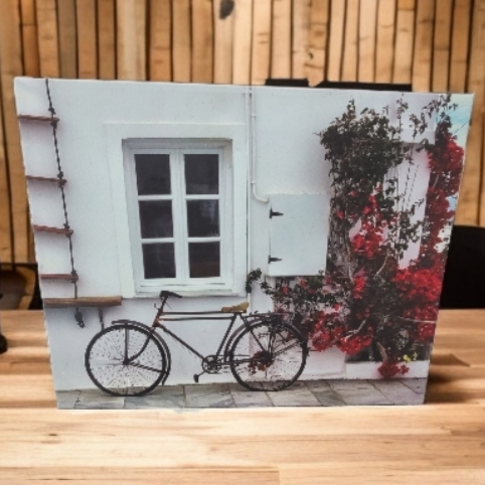 Bicycling in Greece Vintage Art Canvas